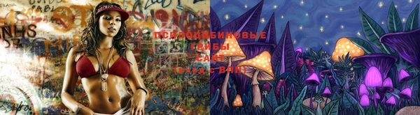 PSILOCYBIN Алексеевка