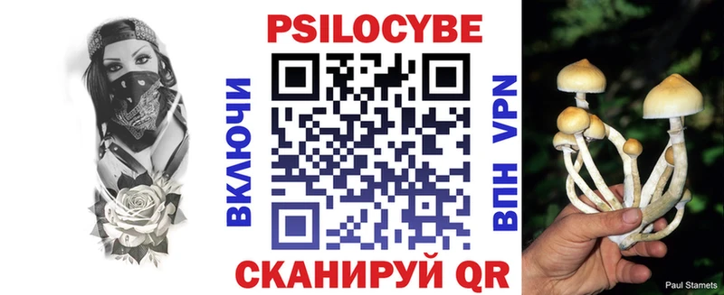 Псилоцибиновые грибы мицелий  где купить наркотик  Сим 